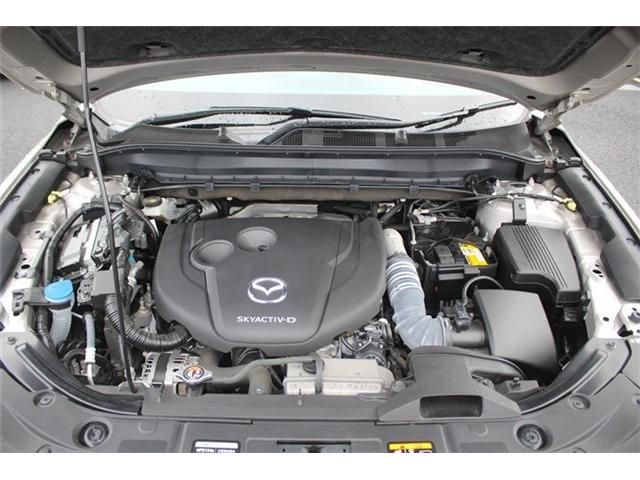 CX-8