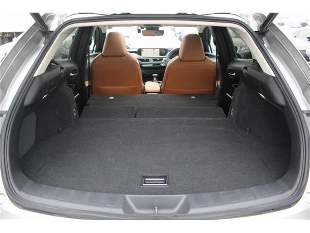 LEXUS UX200