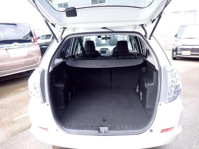 FIT SHUTTLE HYBRID
