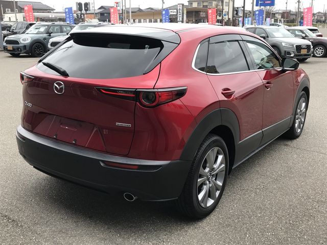 CX-30