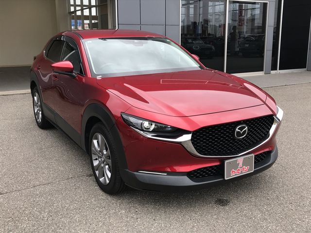 CX-30