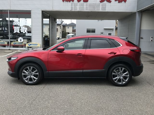 CX-30
