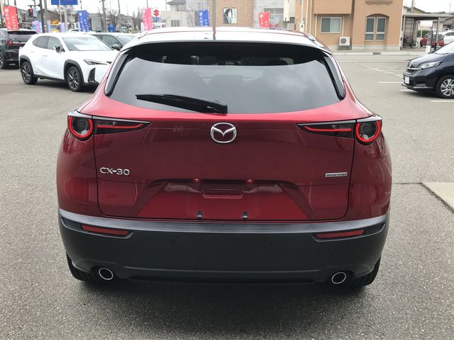 CX-30