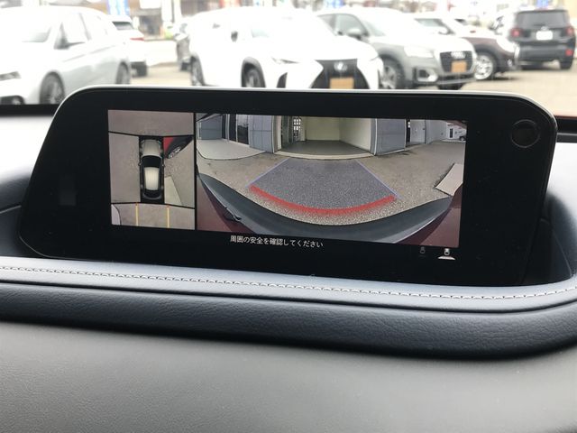 CX-30