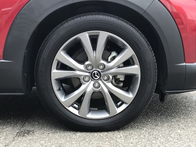 CX-30