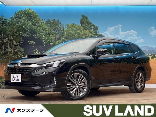 LEVORG LAYBACK