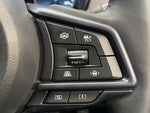 LEVORG LAYBACK