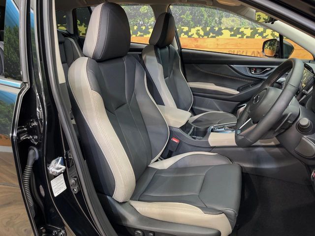 LEVORG LAYBACK