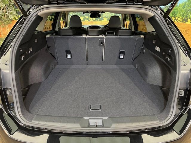 LEVORG LAYBACK