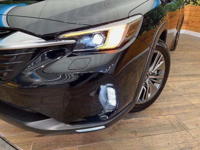 LEVORG LAYBACK