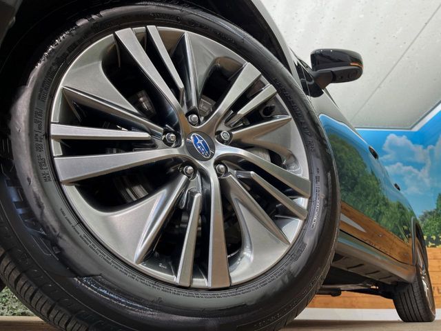 LEVORG LAYBACK