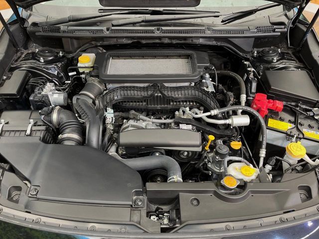 LEVORG LAYBACK