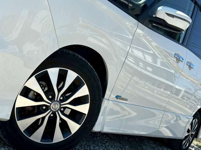 SERENA  S-HYBRID