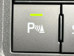 RAIZE HYBRID