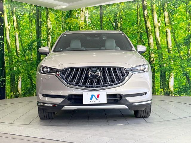 CX-8