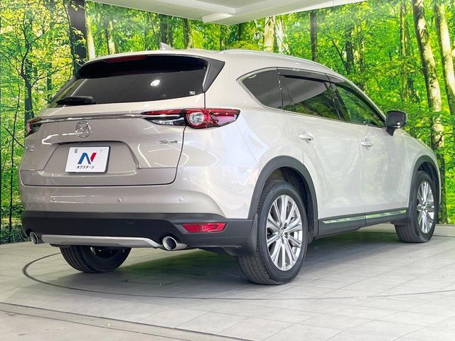 CX-8