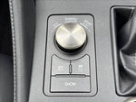 LEXUS RC300h