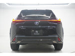 LEXUS UX250h