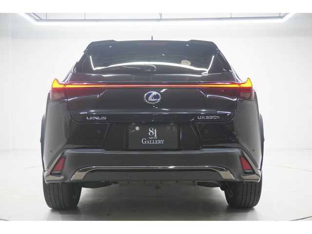 LEXUS UX250h