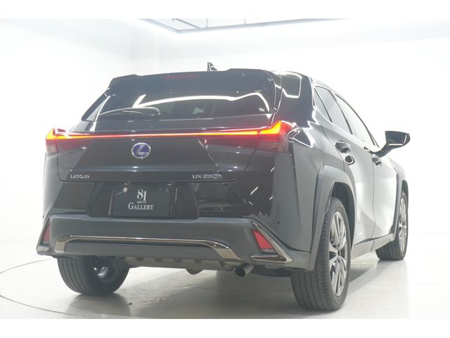 LEXUS UX250h