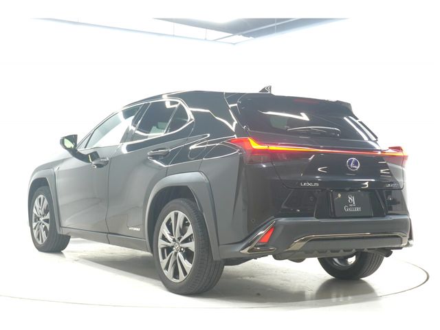 LEXUS UX250h