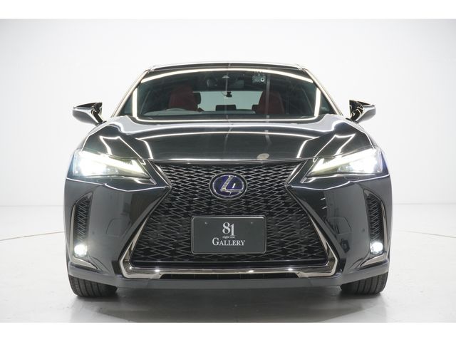 LEXUS UX250h