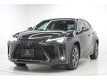LEXUS UX250h