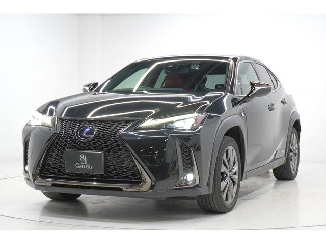 LEXUS UX250h