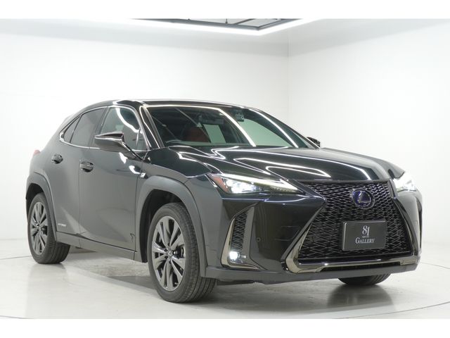 LEXUS UX250h