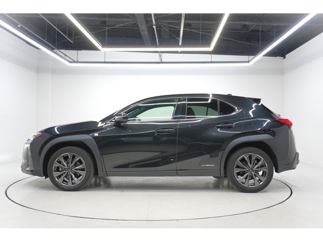 LEXUS UX250h