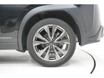 LEXUS UX250h