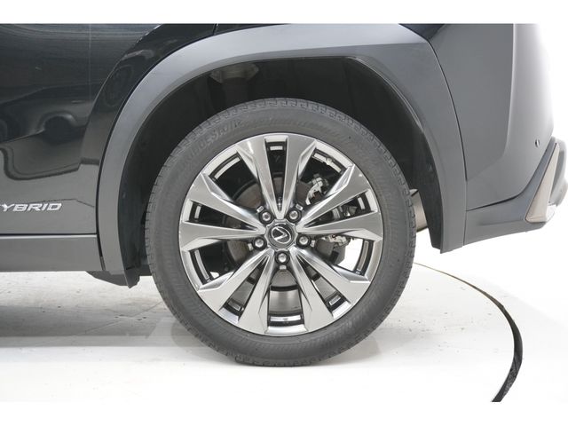 LEXUS UX250h