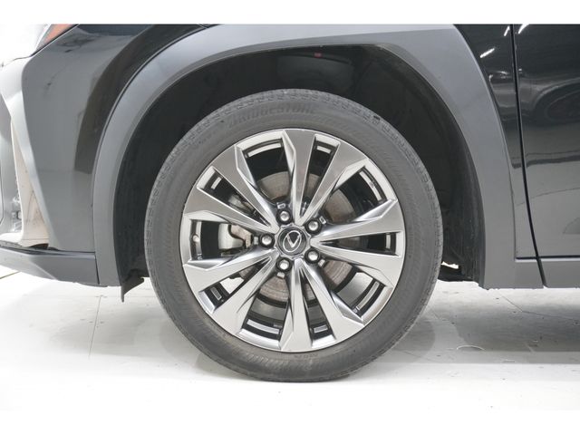 LEXUS UX250h