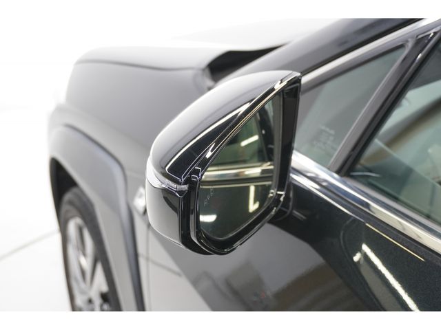 LEXUS UX250h