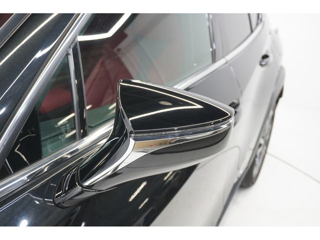 LEXUS UX250h