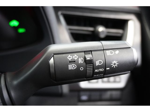LEXUS UX250h