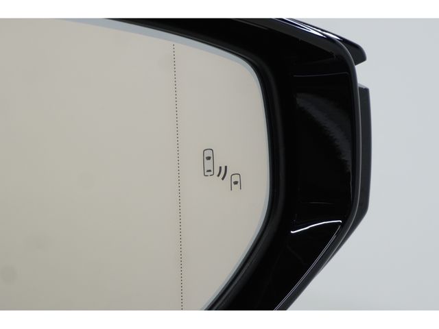 LEXUS UX250h