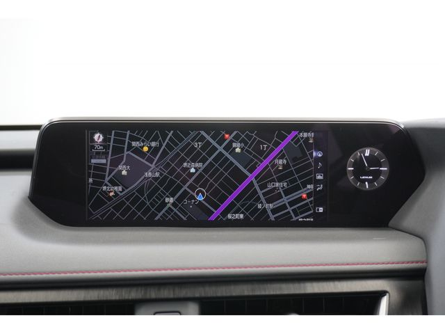 LEXUS UX250h