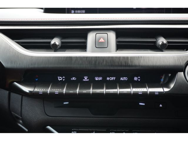 LEXUS UX250h