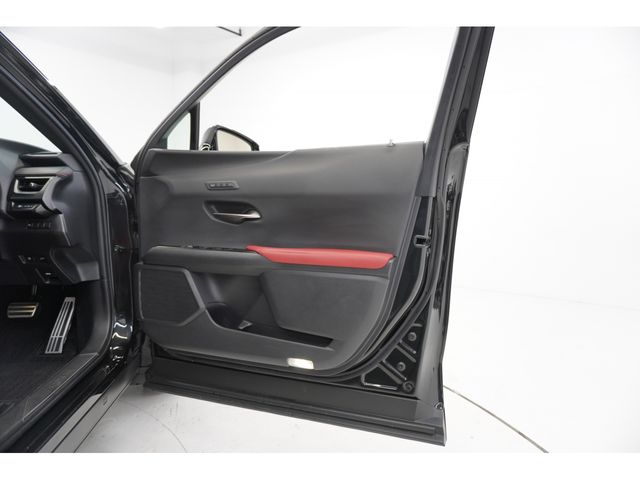 LEXUS UX250h