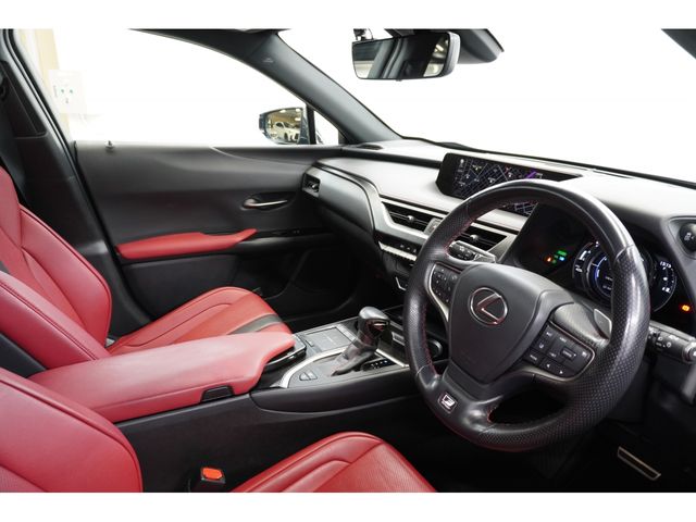 LEXUS UX250h