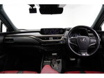 LEXUS UX250h