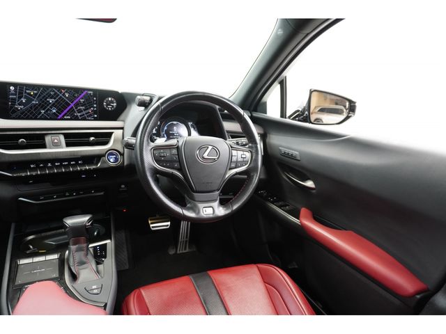 LEXUS UX250h