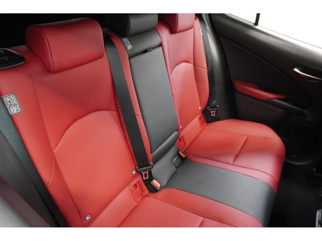 LEXUS UX250h