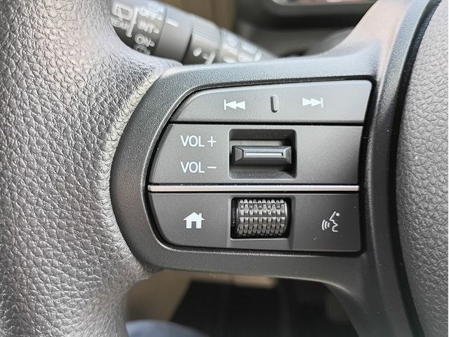 N-VAN e: