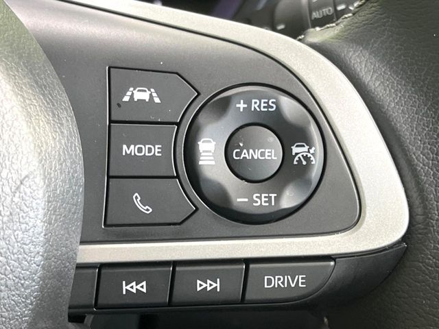 RAIZE HYBRID