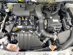RAIZE HYBRID