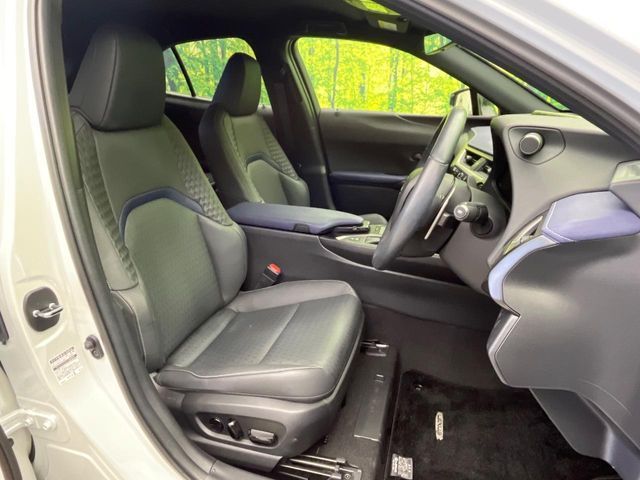 LEXUS UX250h