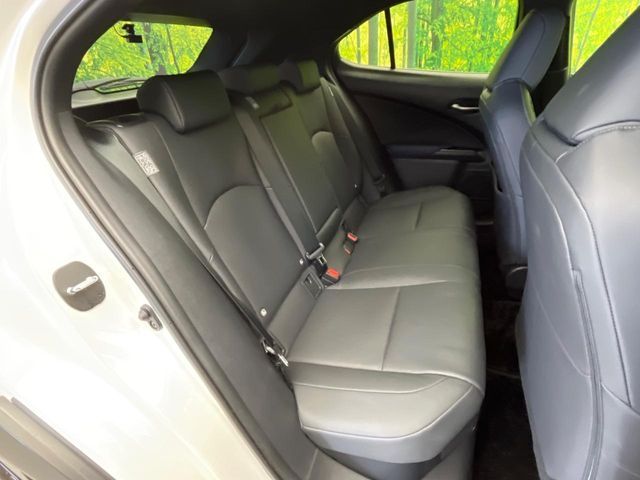 LEXUS UX250h