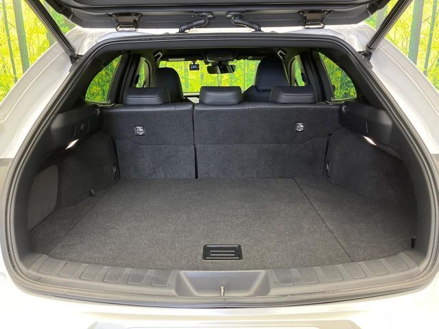 LEXUS UX250h
